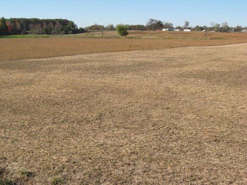 Property photo 12 - 110+/- Acres offered in 4 Tillable Tracts